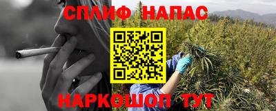 дмт Ставрополь