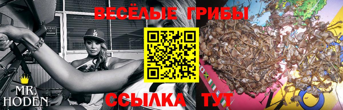 Псилоцибиновые грибы мухоморы  Вход с VPN  Минеральные Воды 