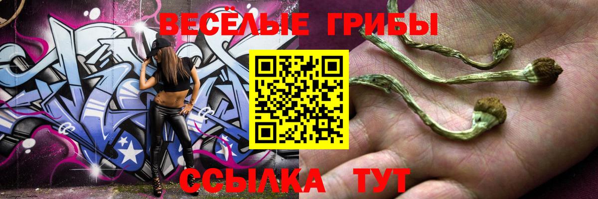 Псилоцибиновые грибы ЛСД Минеральные Воды